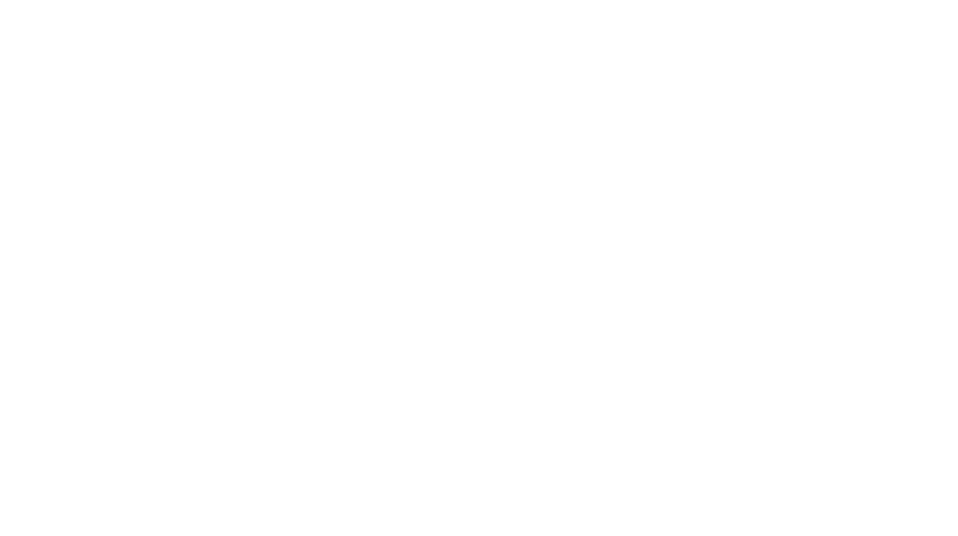 Core Precinct